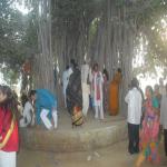 Vraj-Yatra-2014- (1581)